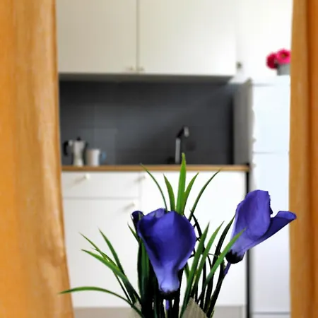 Family Jimmy - Center