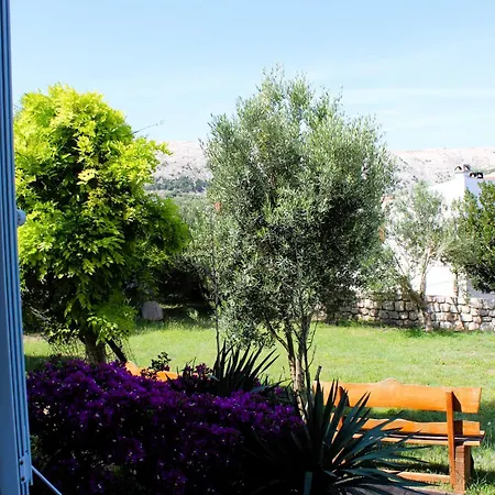 Family Jimmy - Center Pag Town