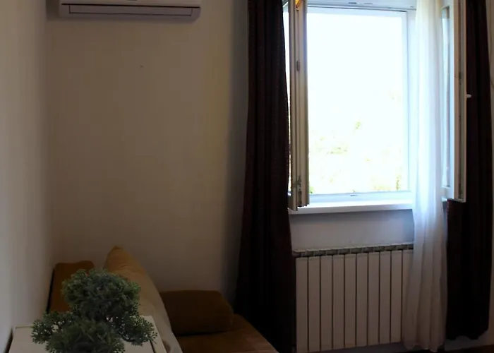 Family Jimmy - Center